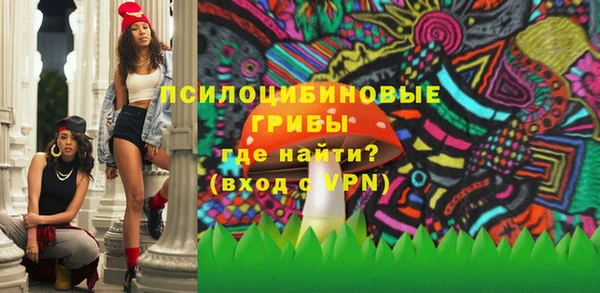 сатива Богородск