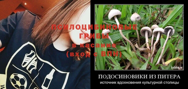 спиды Богородицк