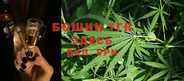 спиды Богородицк