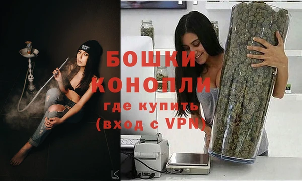 спиды Богородицк